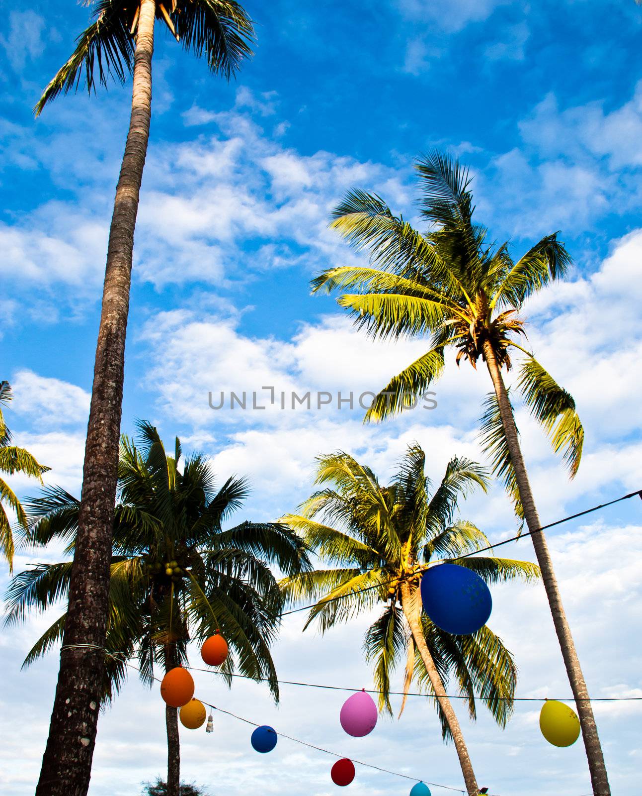 Coconut trees with multi-colored balloons. Was designed as part of the carnival.