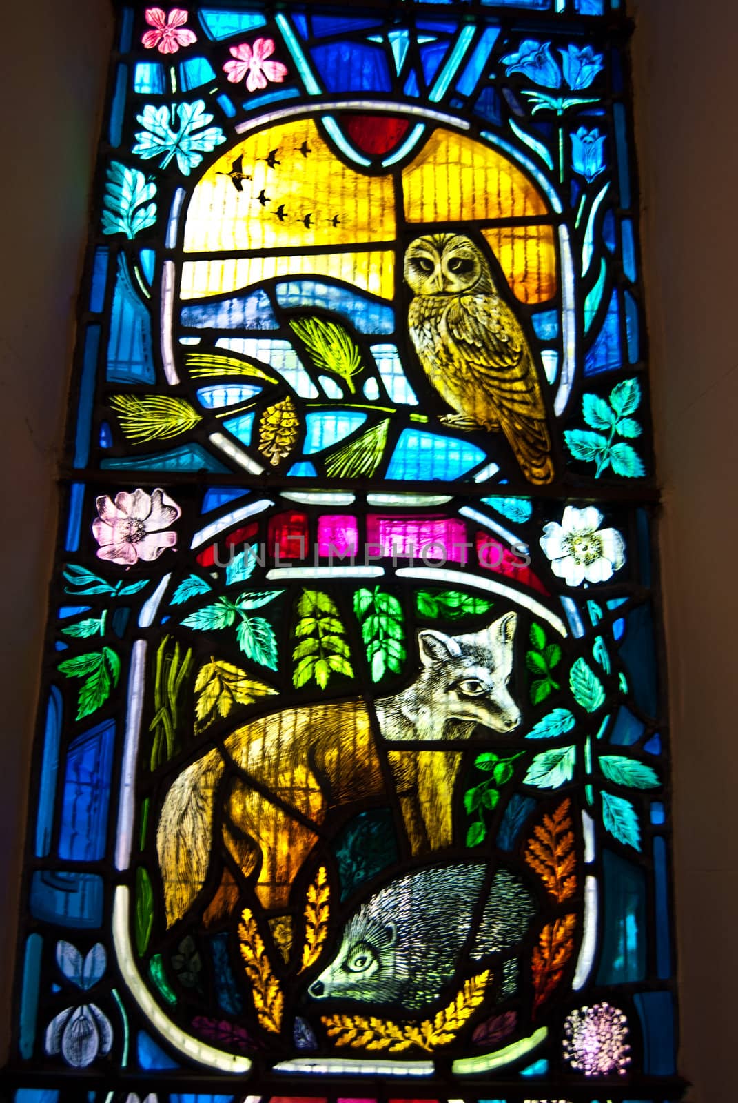 beautiful old stained glass windows of a scottish church