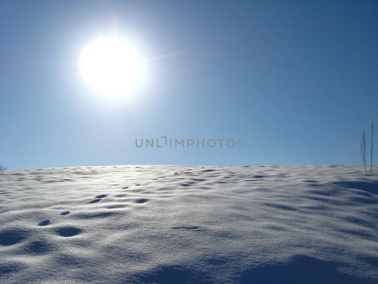 Winter solar landscape with bright snow on the sun