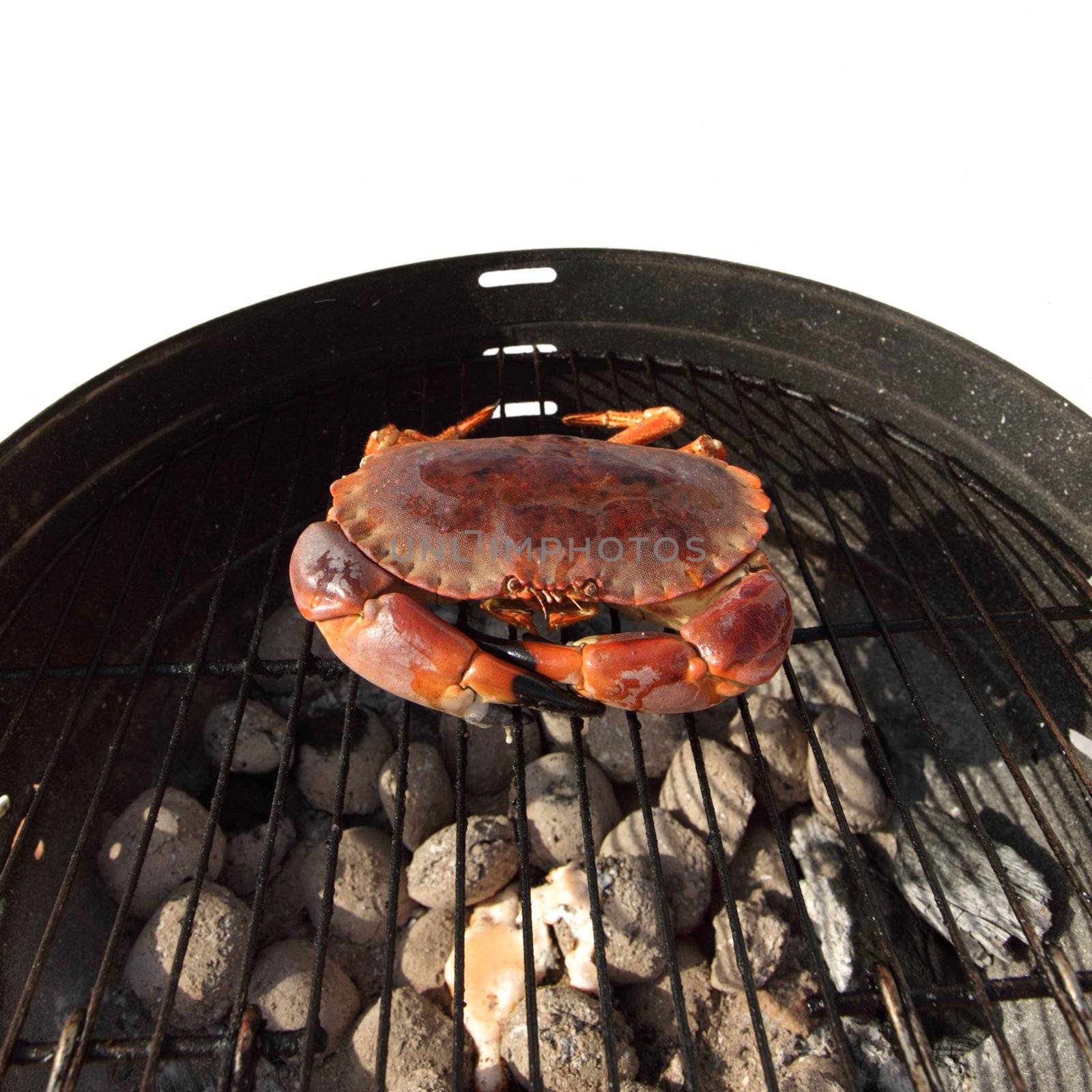 crab on charcoal grill