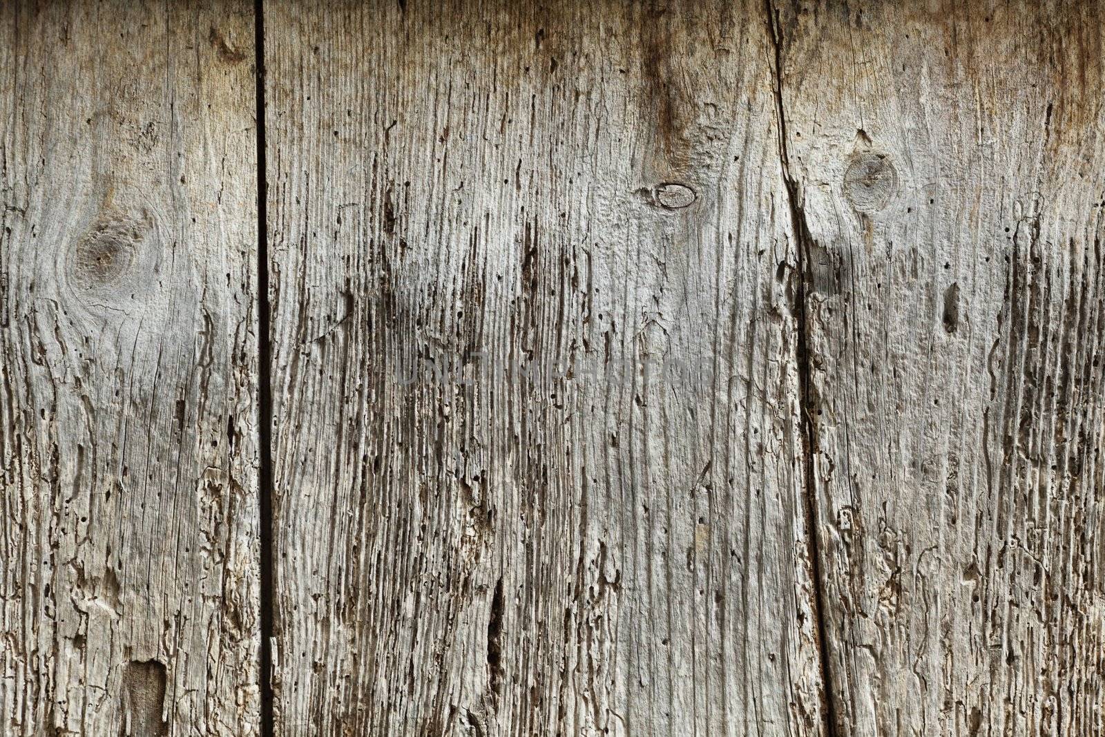 natural wooden texture