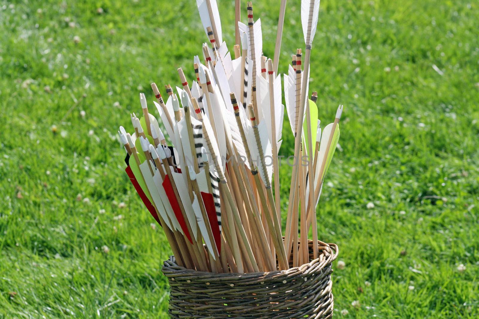 a basket of arrows