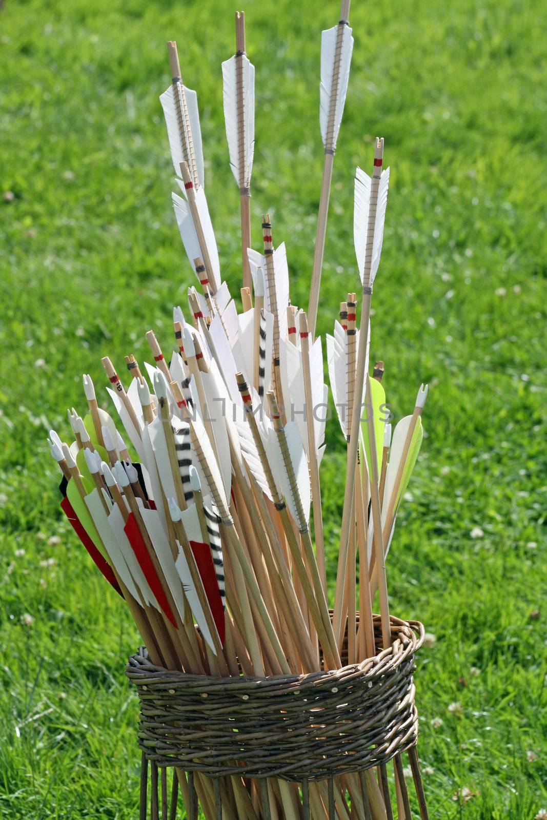 a basket of arrows