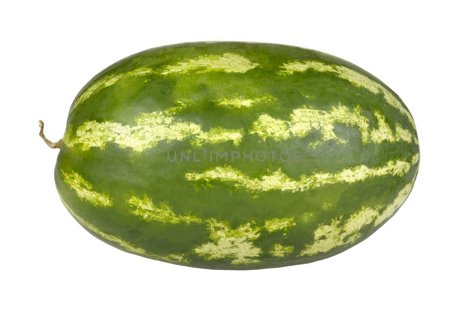 Long watermelon