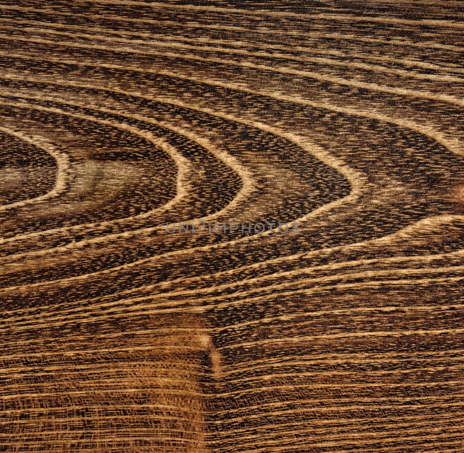 Abstract wooden background of a high contrast