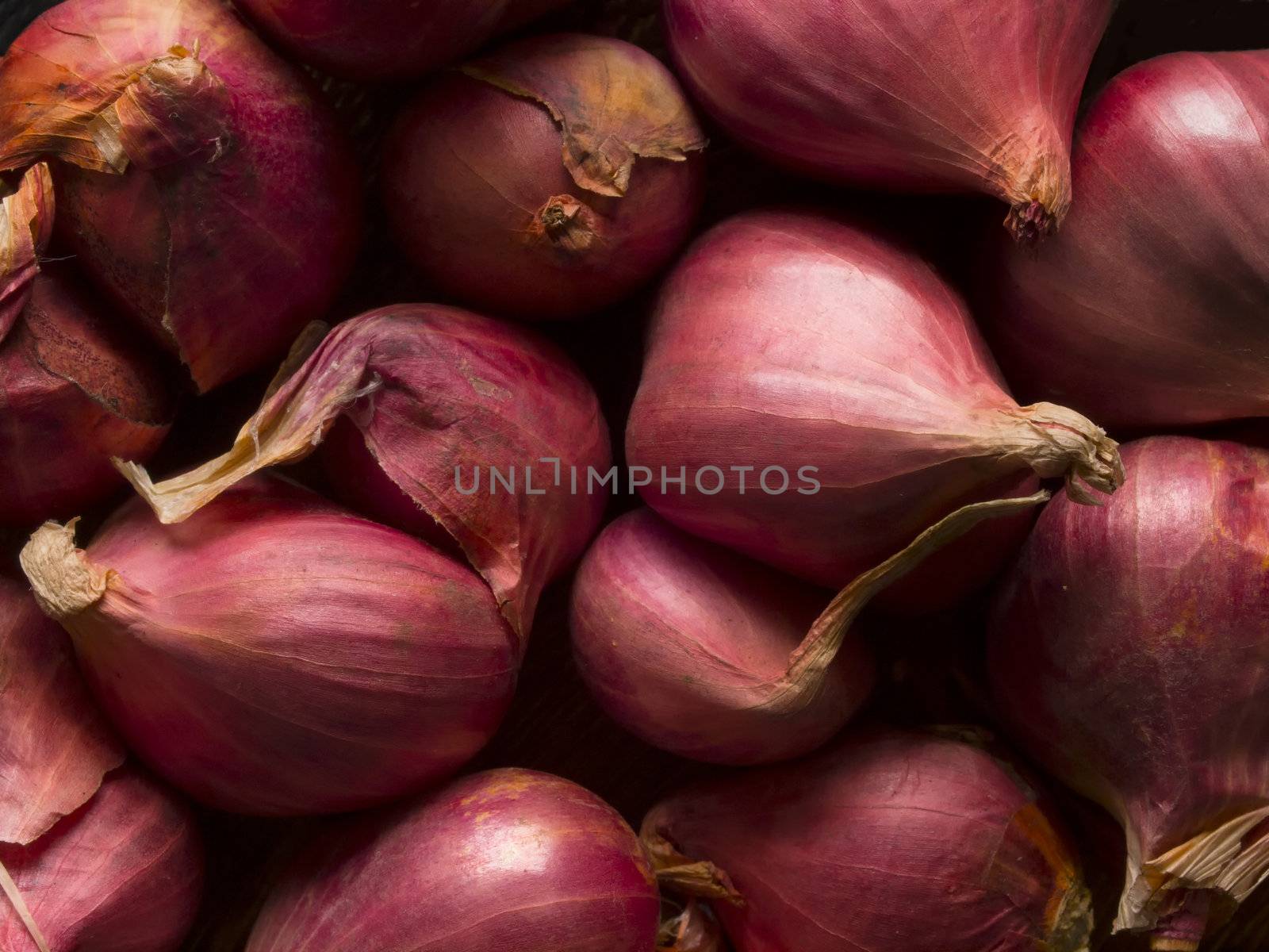 shallots by zkruger