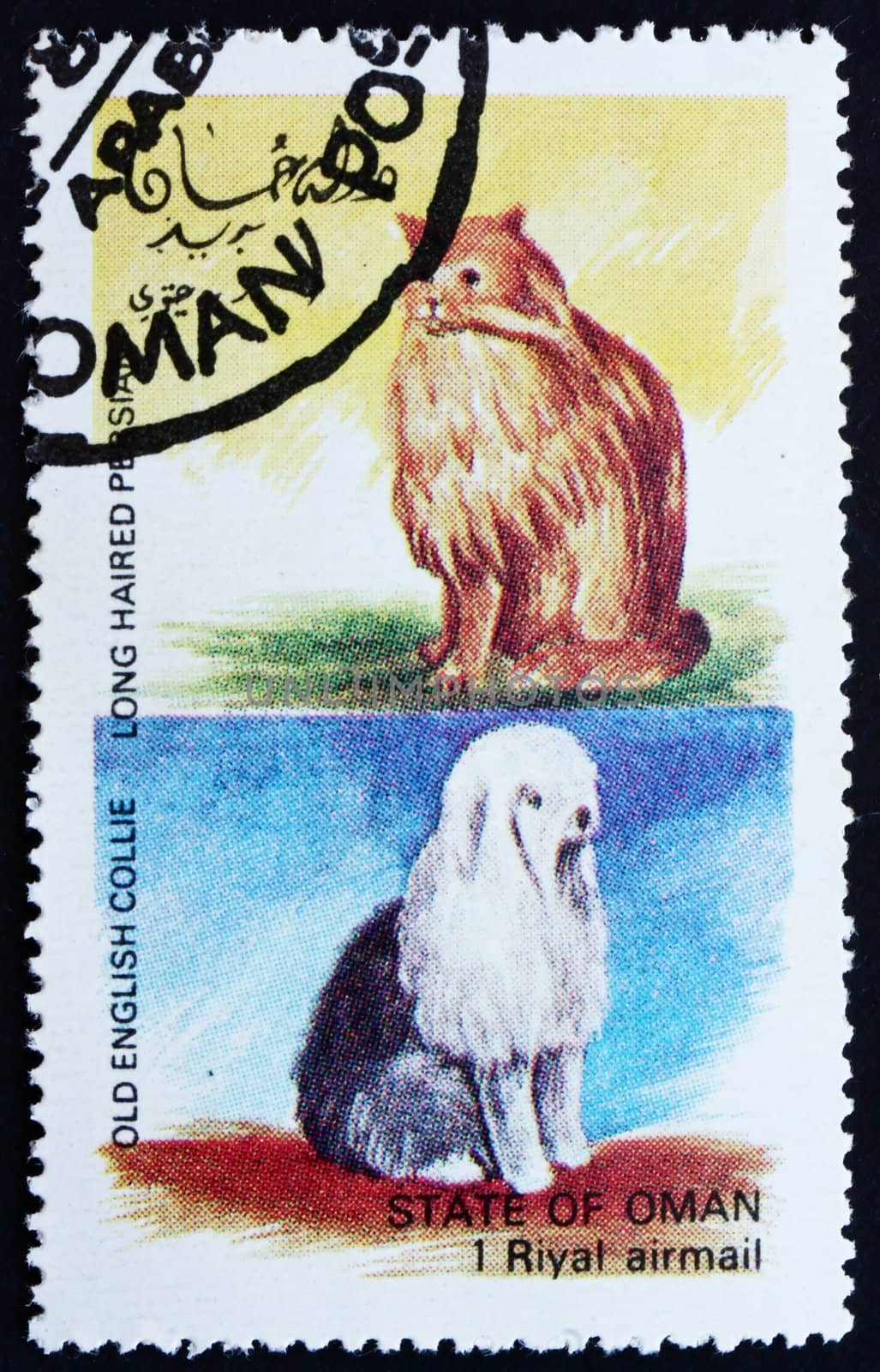 OMAN - CIRCA 1972: a stamp printed in the Oman shows Long Haired Persian Cat and Old English Collie Dog, circa 1972