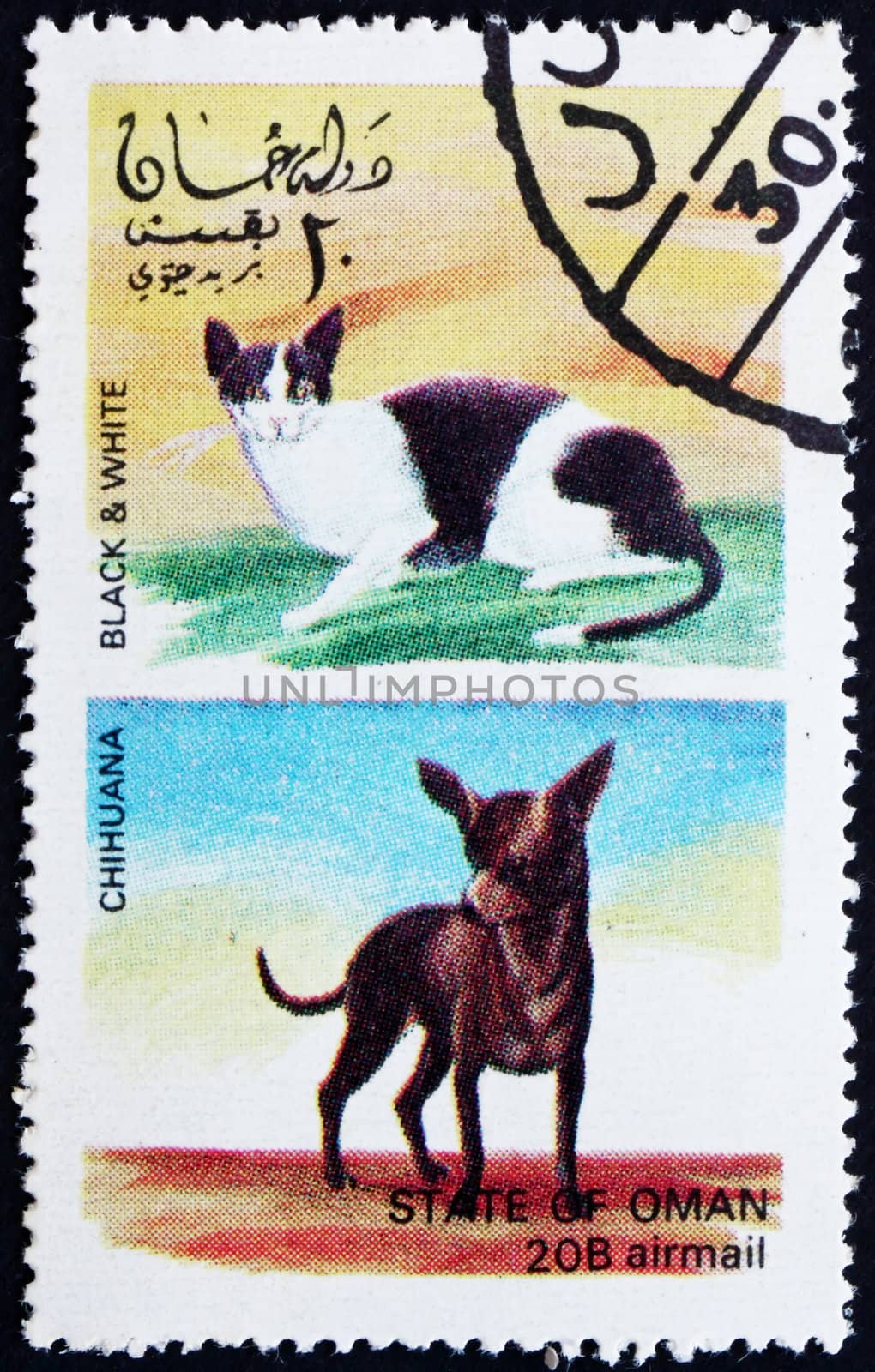 OMAN - CIRCA 1972: a stamp printed in the Oman shows Black and White Cat and Chihuana Dog, circa 1972