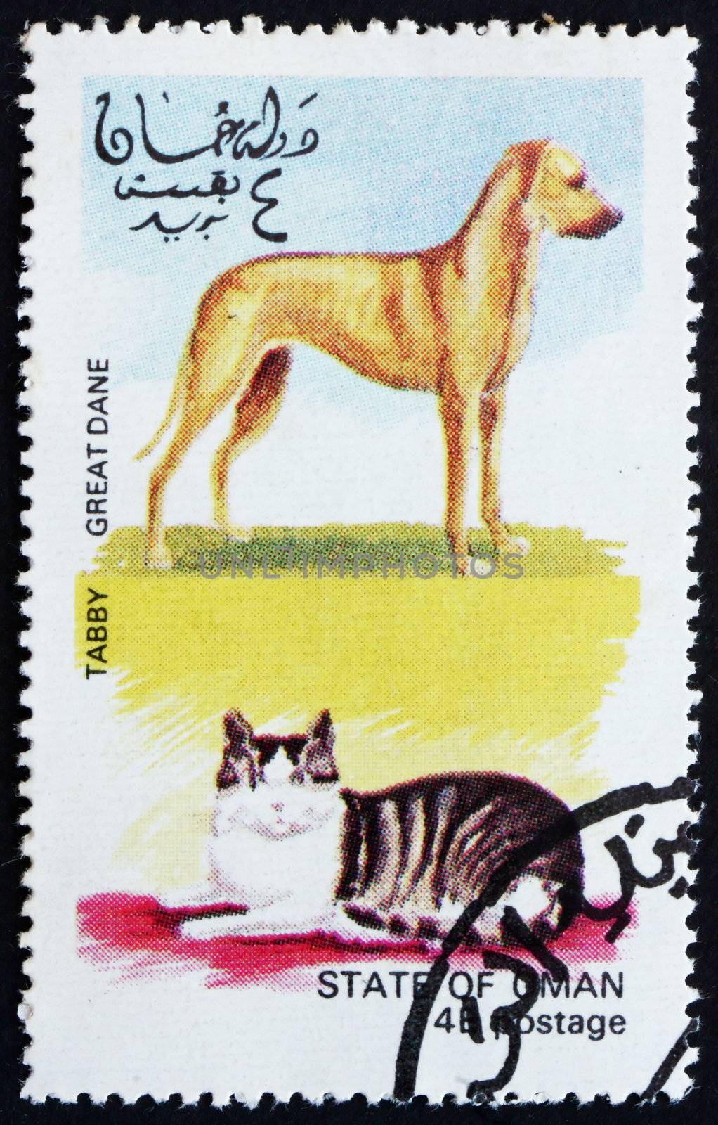 OMAN - CIRCA 1972: a stamp printed in the Oman shows Tabby Cat and Great Dane Dog, circa 1972