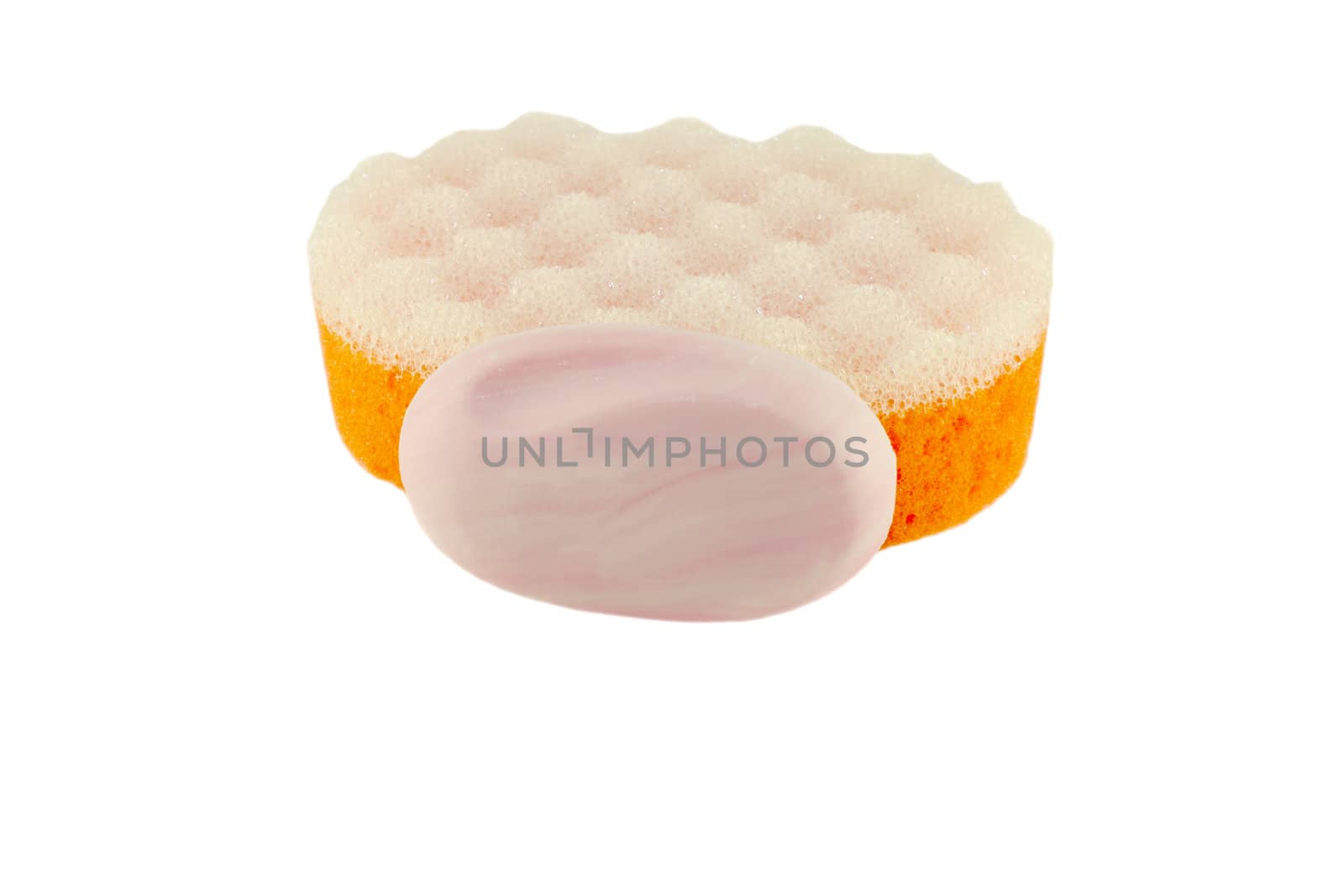 Sponge and soap