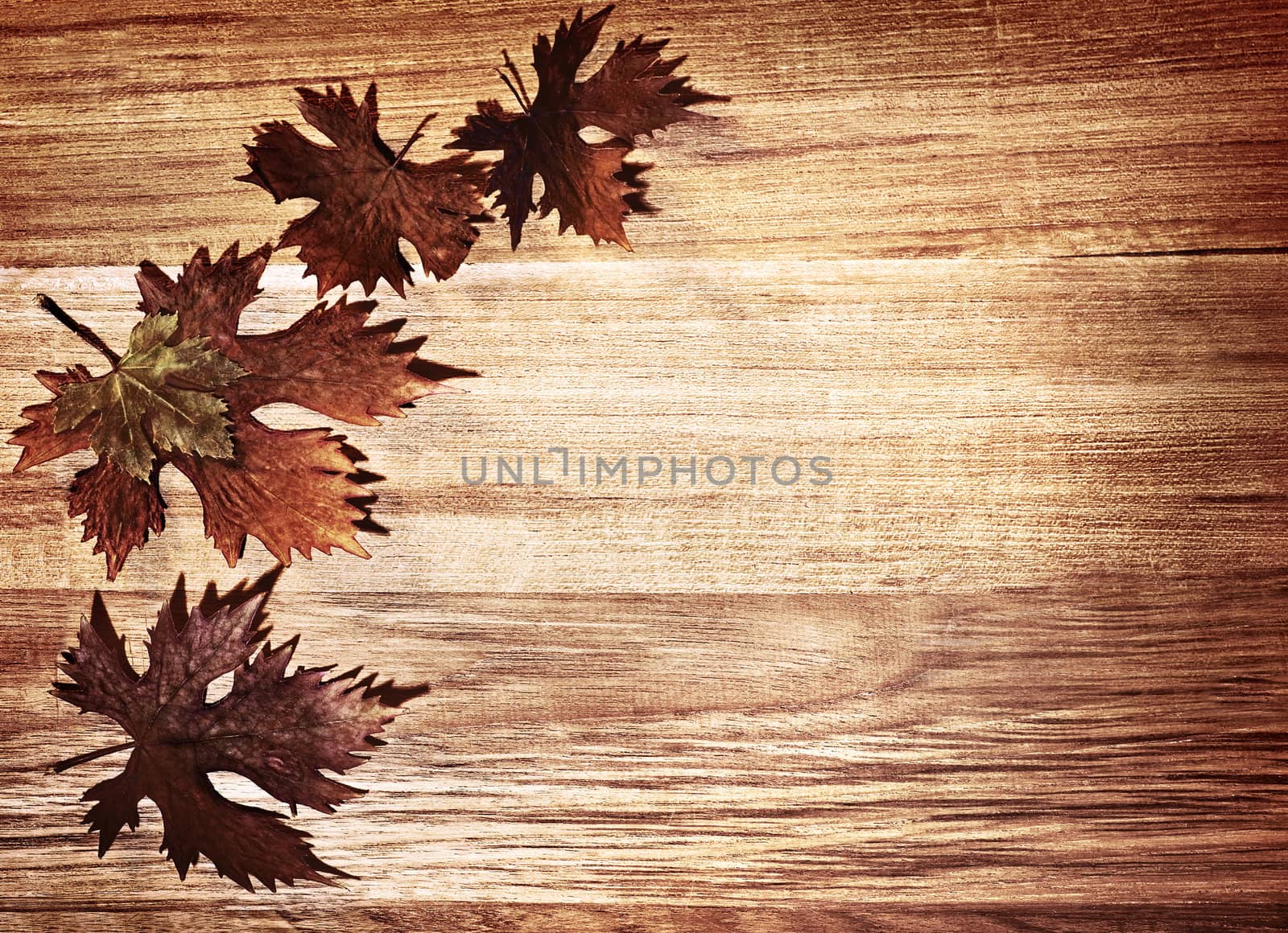 Autumn leaves border  by Anna_Omelchenko