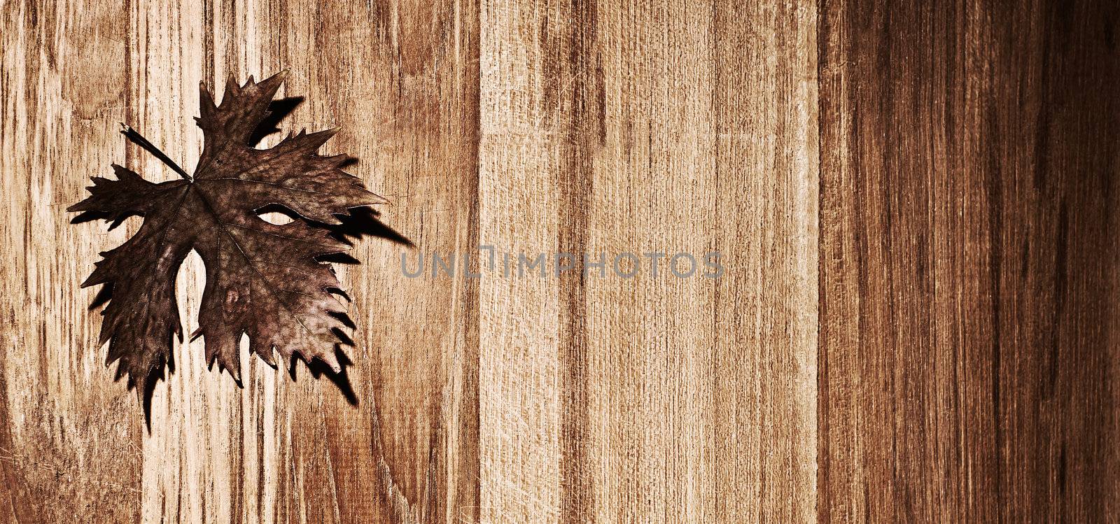Autumn leaf wooden border by Anna_Omelchenko