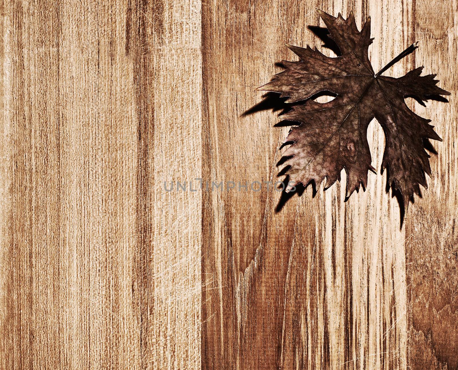 Autumn leaf wooden border by Anna_Omelchenko