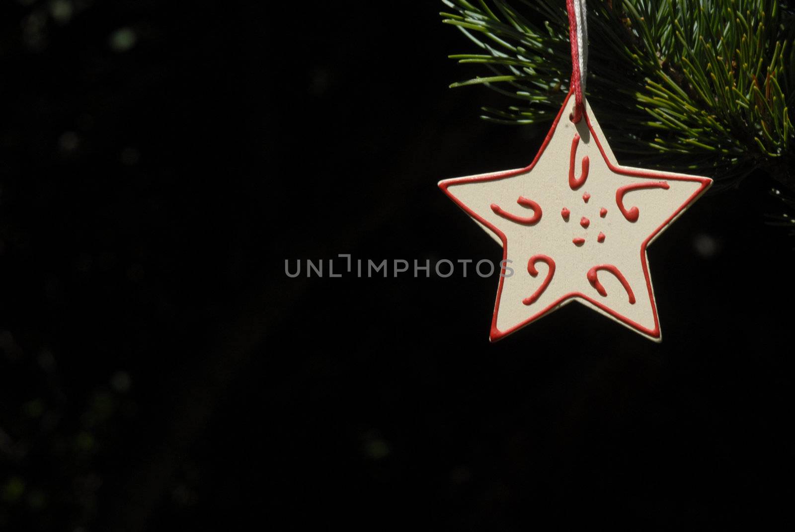 christmas, star hanging from the fir tree with copyspace
