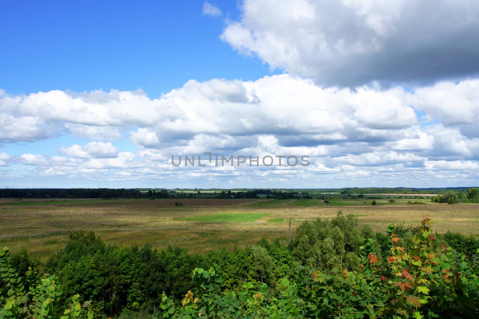 Field on a background of the cloudy sky