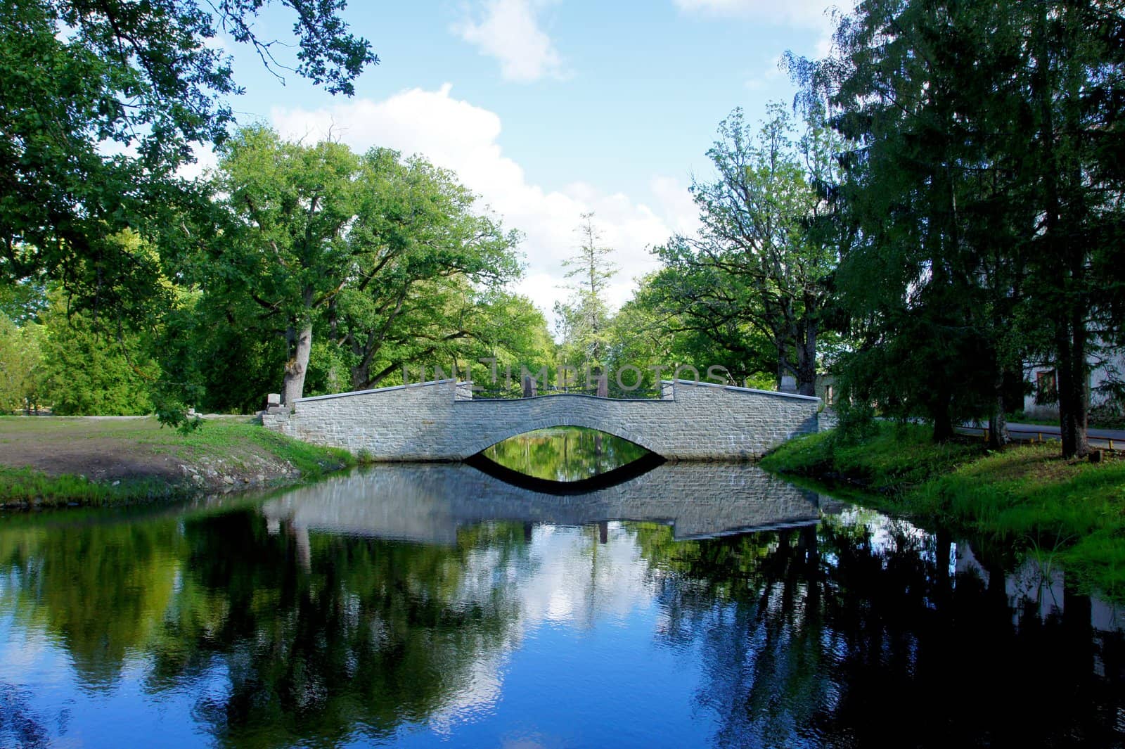 The white bridge on a background of a pond and trees