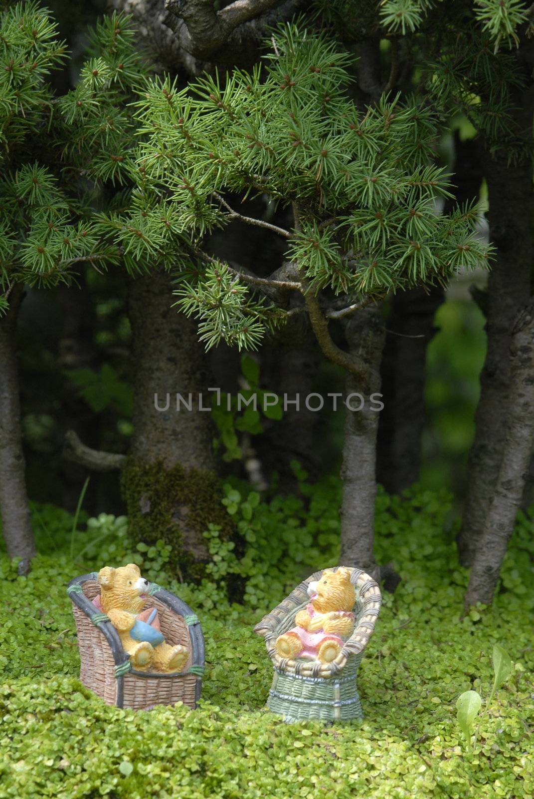 baby teddy bears sitting in the forest by Carche