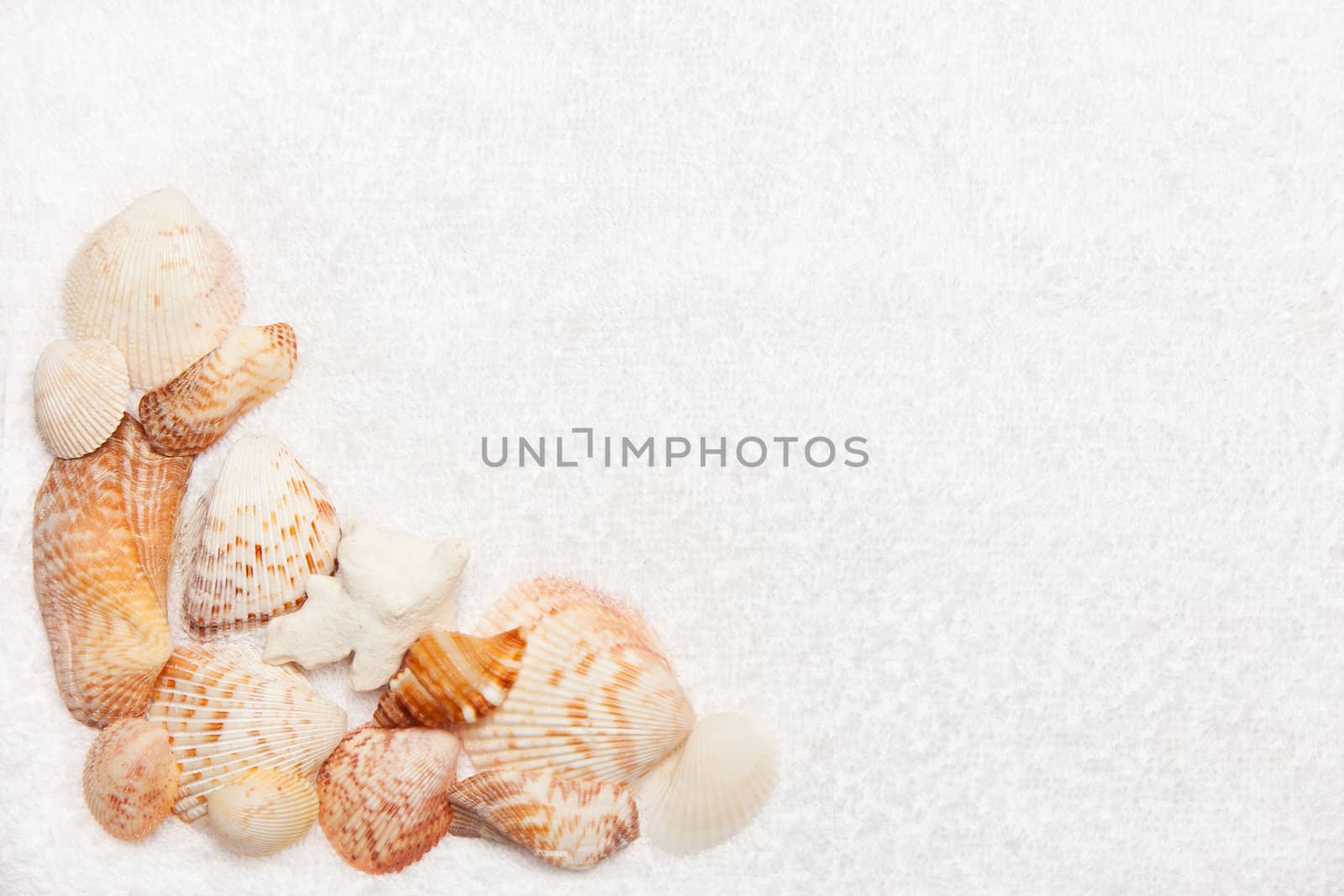 Sea Shell Border on White Fluffy Towel Texture Background by scheriton