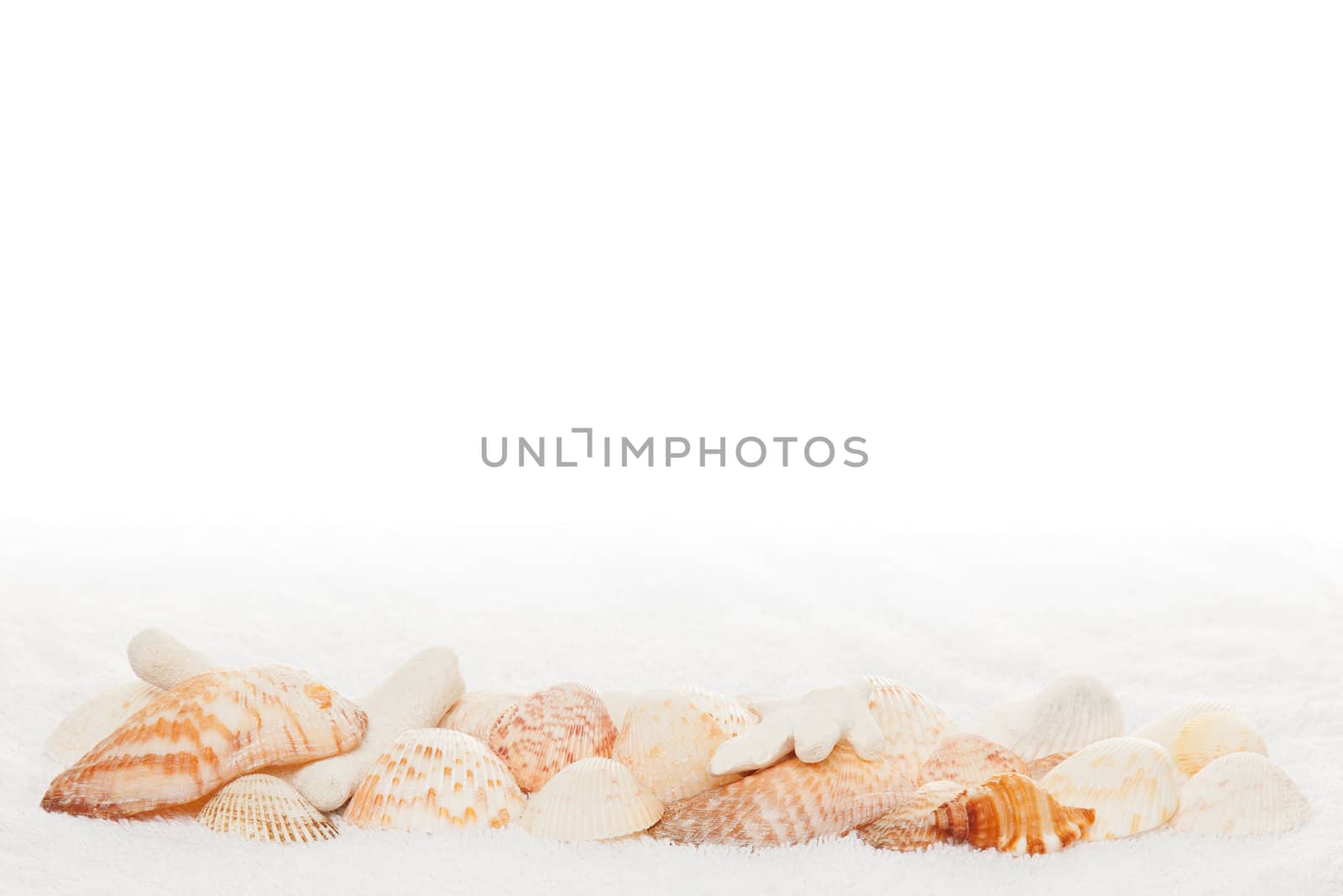 Sea Shell Horizontal Border on White Towel Texture Background by scheriton