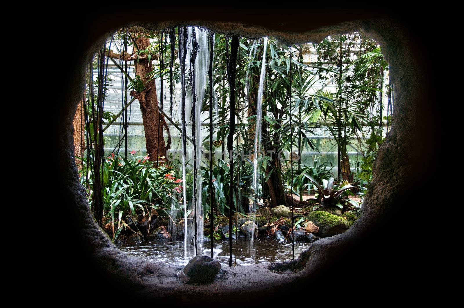 view behind the waterfall in a indoor nature park