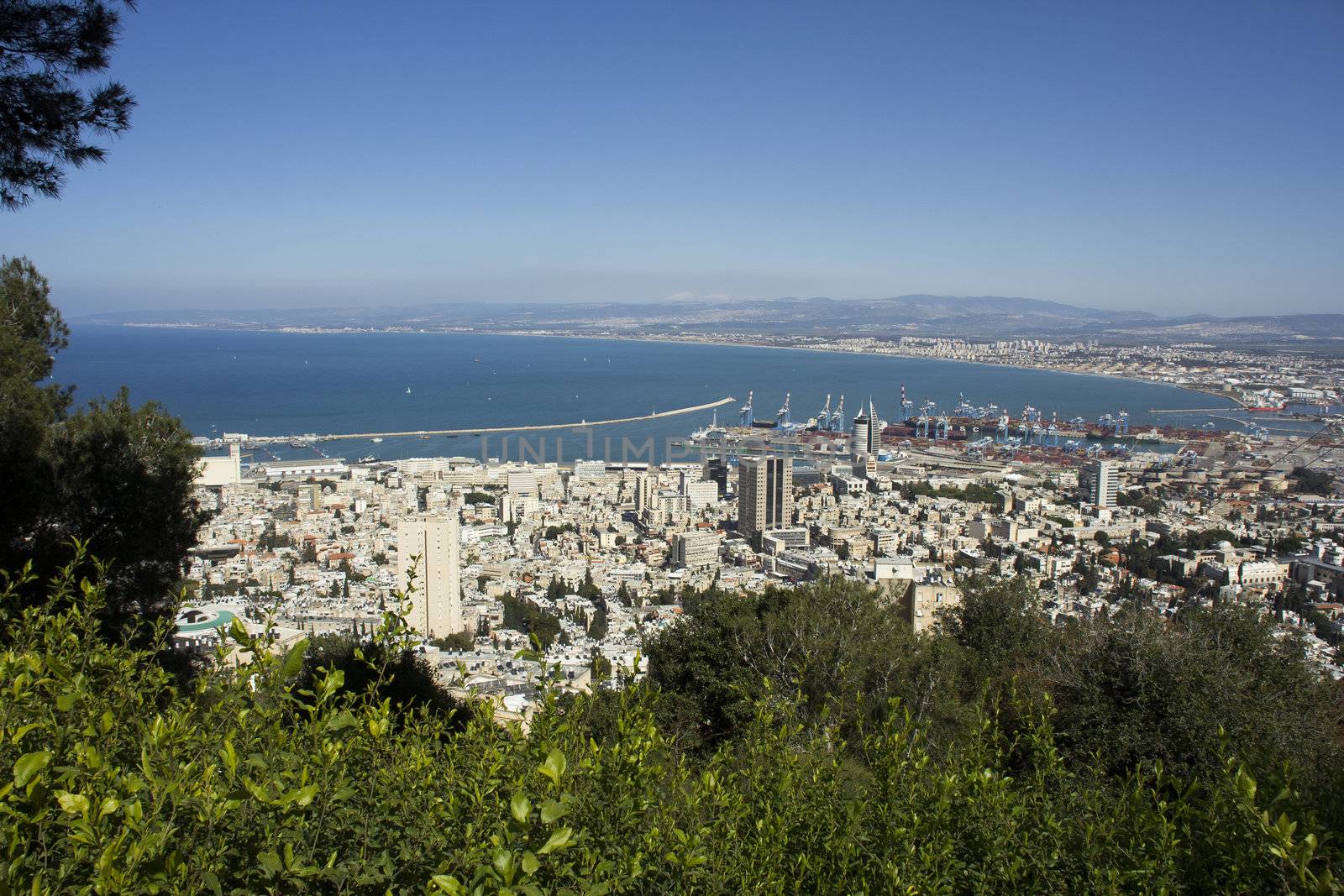 Haifa by Vladimir