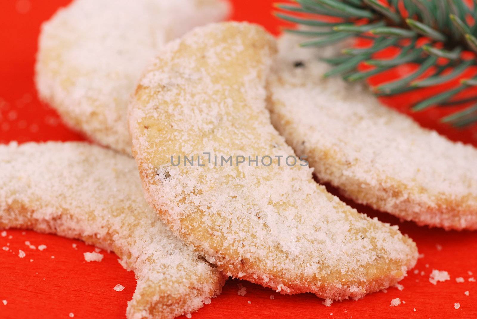Detail o christmas cookies on the red background with a pine branch