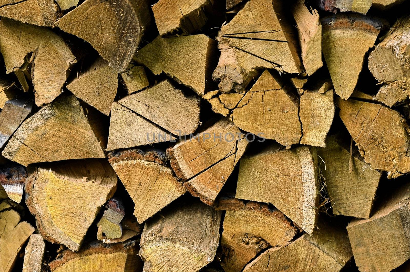 Stored hard wood cuted for fire place