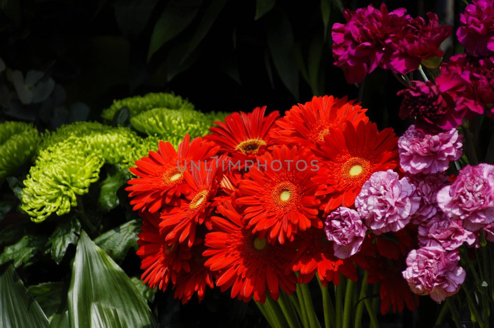 Flowers on a florist stall, red gerbera daisies