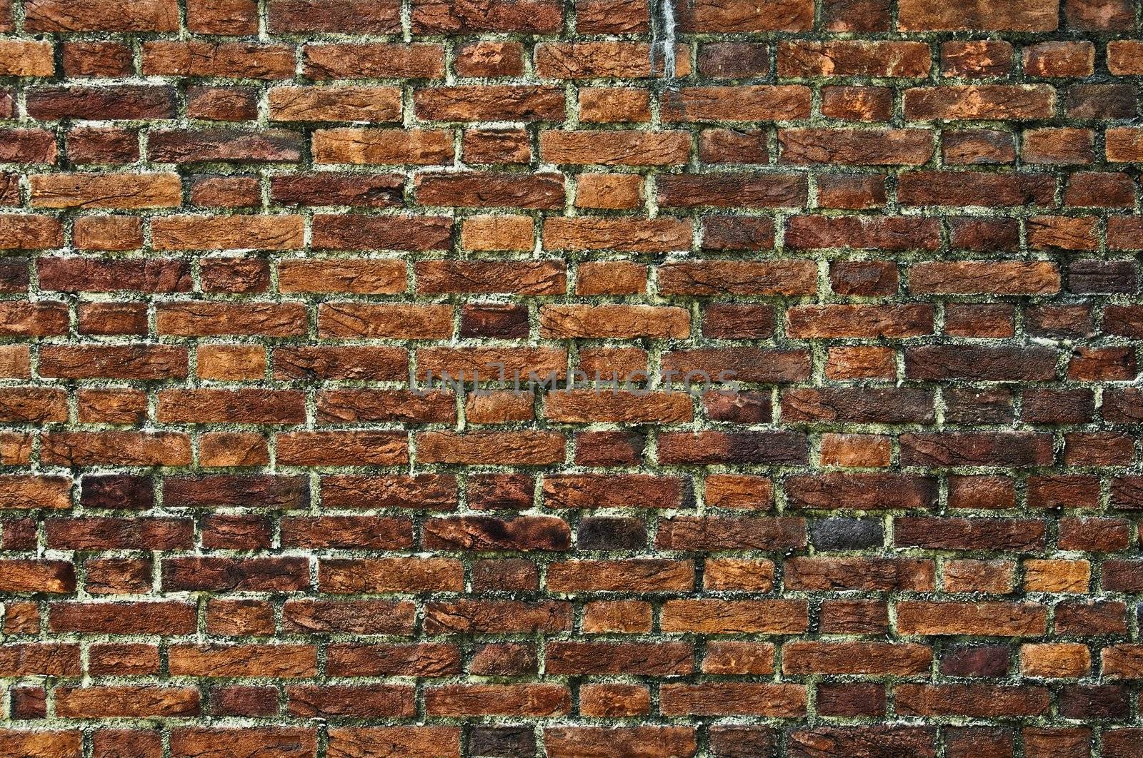 Grunge and weathered brick wall background