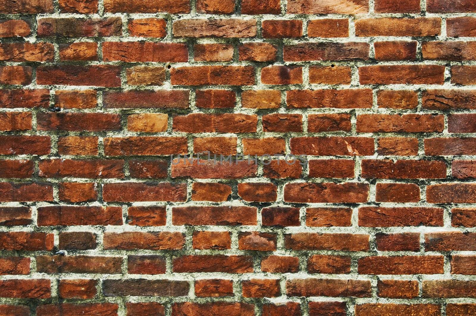 Grunge and weathered brick wall background