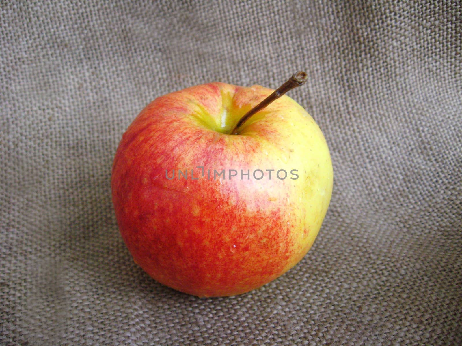 tasty and ripe apple on the grey background