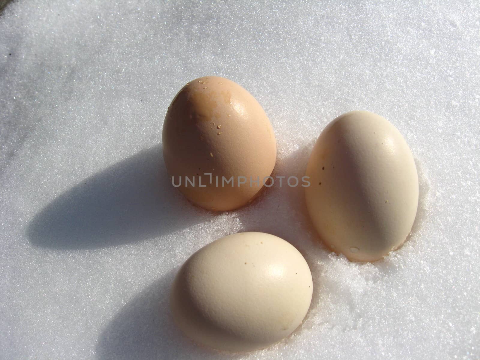 Landscape with three eggs lying of turkey on the snow