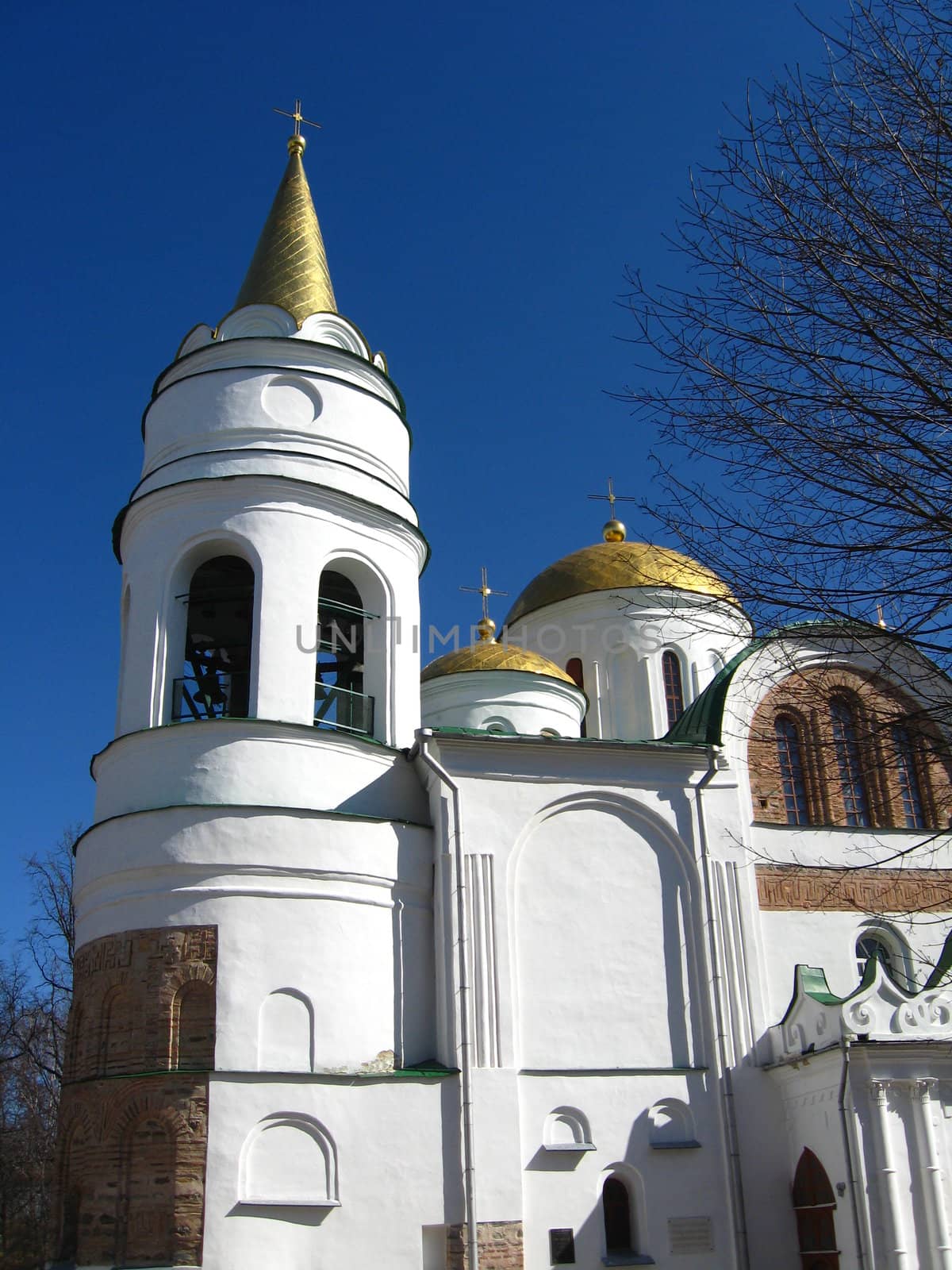 Beautiful church on a background of the blue sky by alexmak