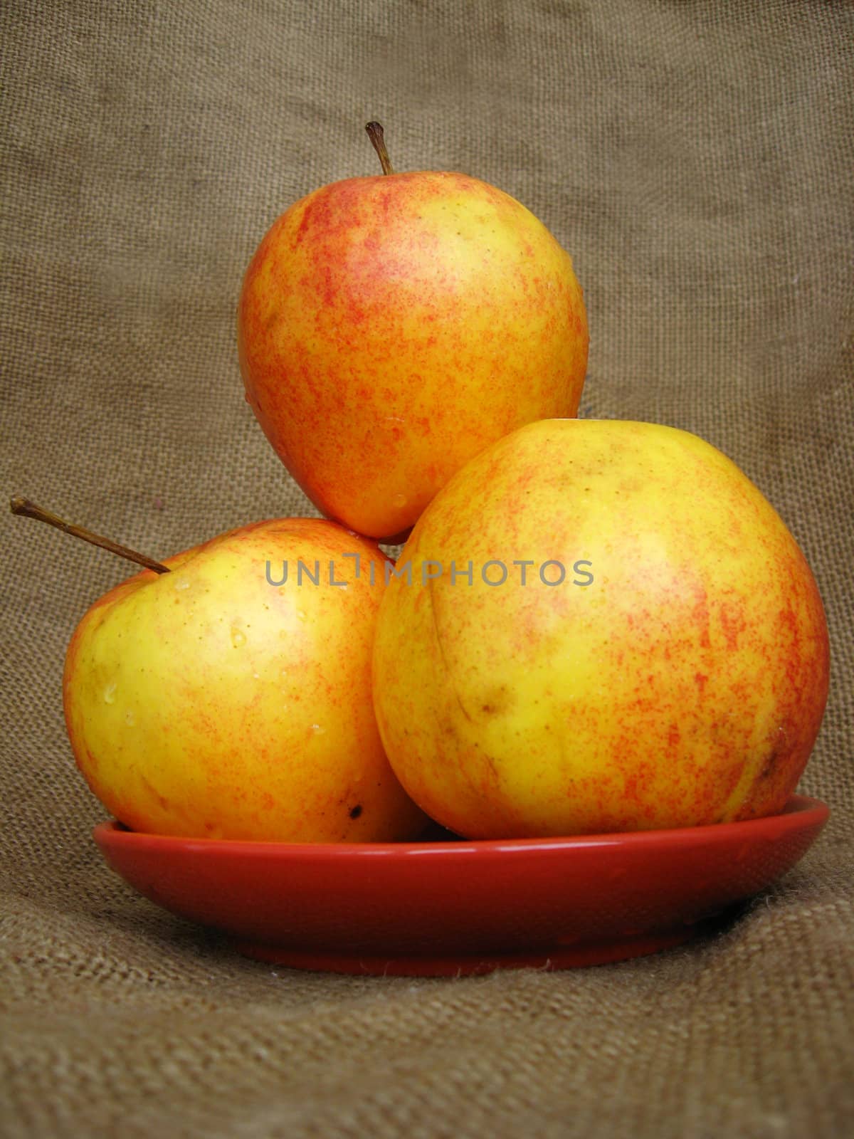 apple on the brown background by alexmak