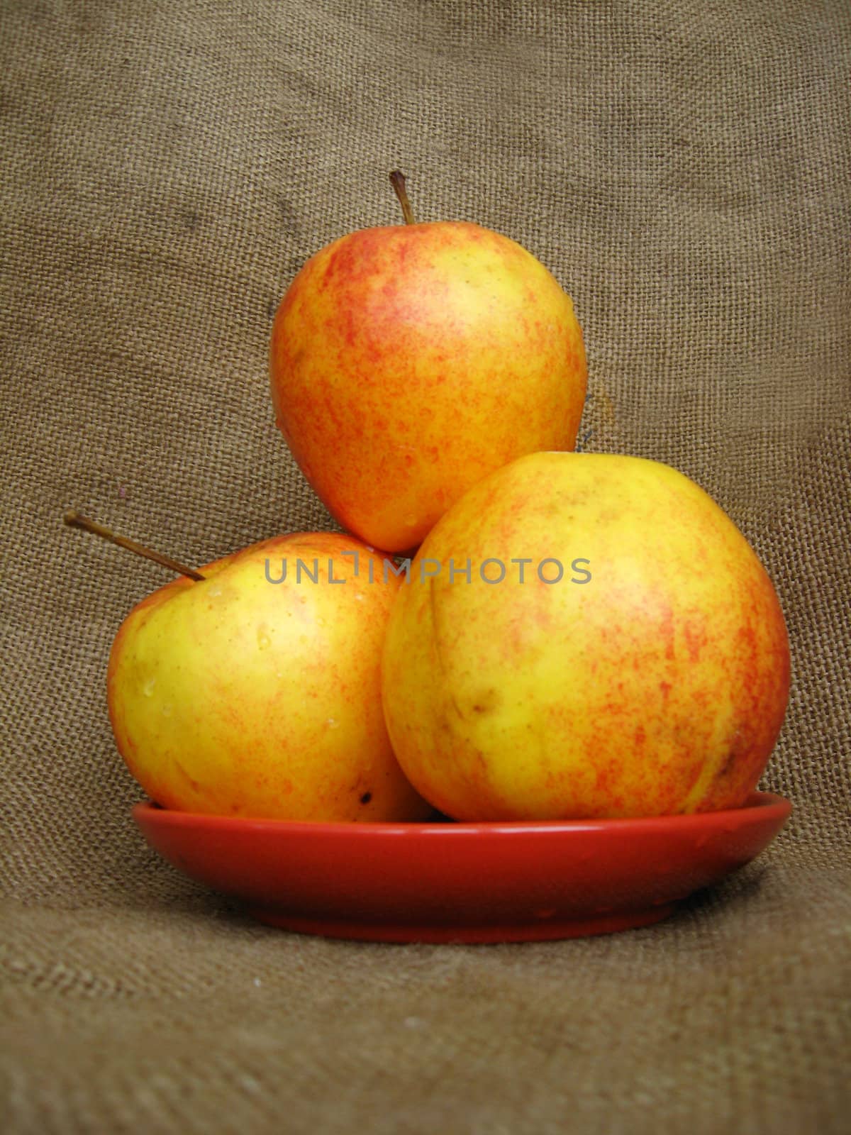 apple on the brown background by alexmak