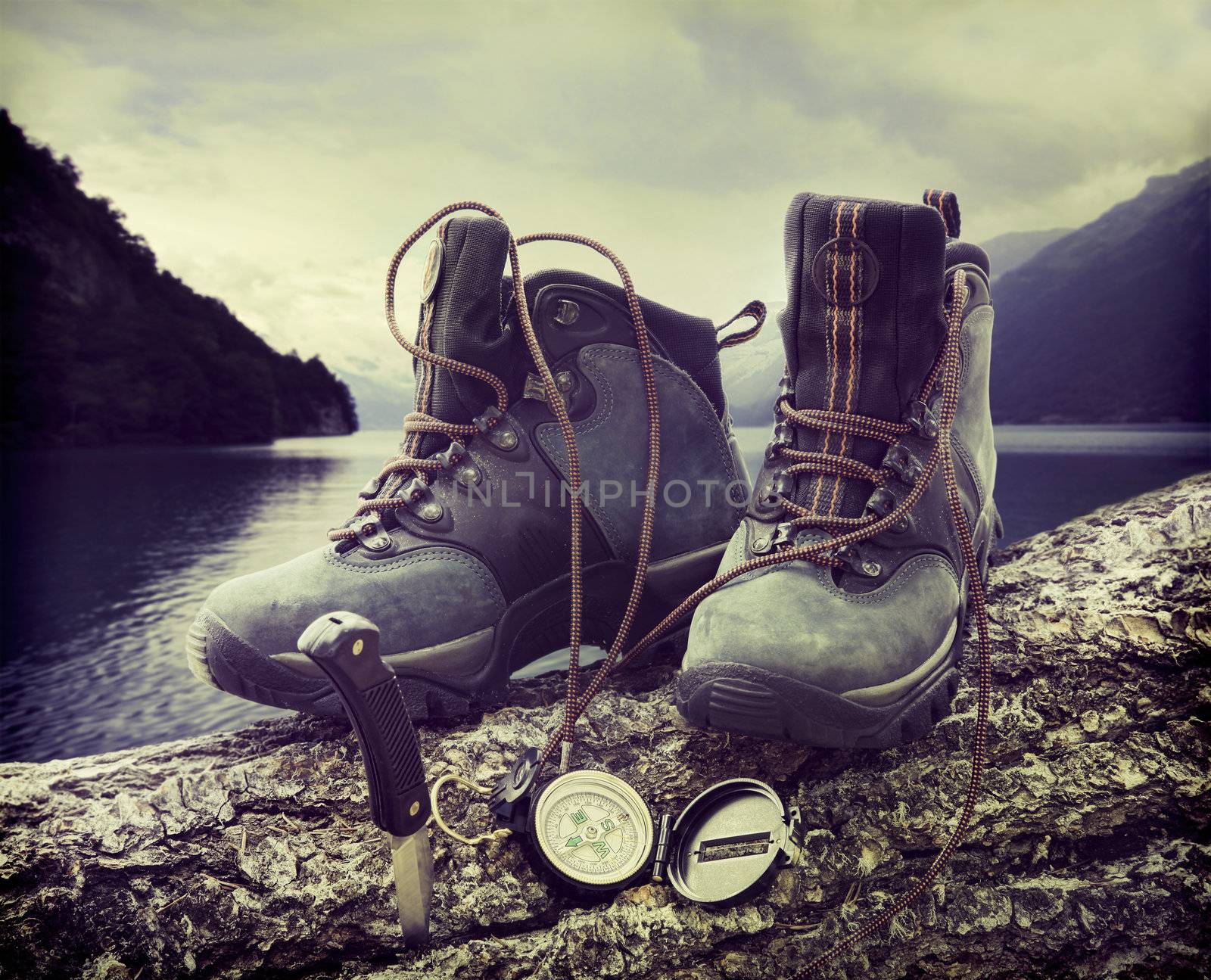 Hiking boots on tree trunk near lake by Sandralise