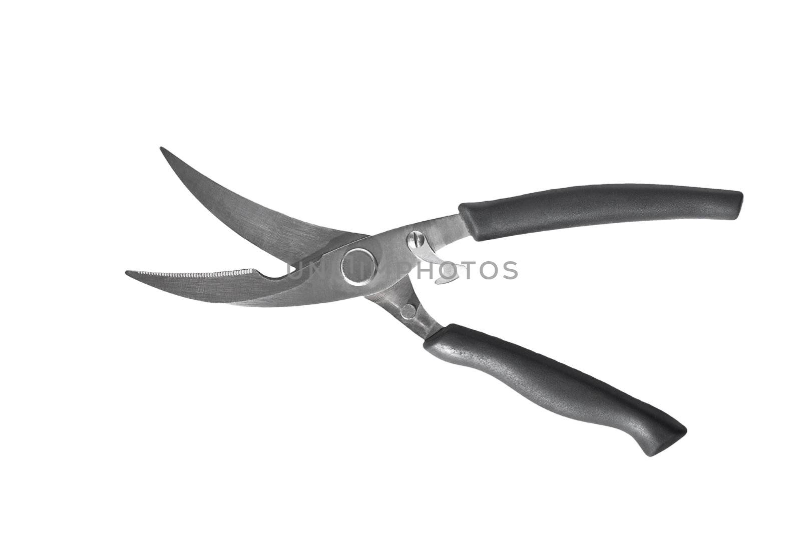 Scissors for cutting meat and chicken on a white background.