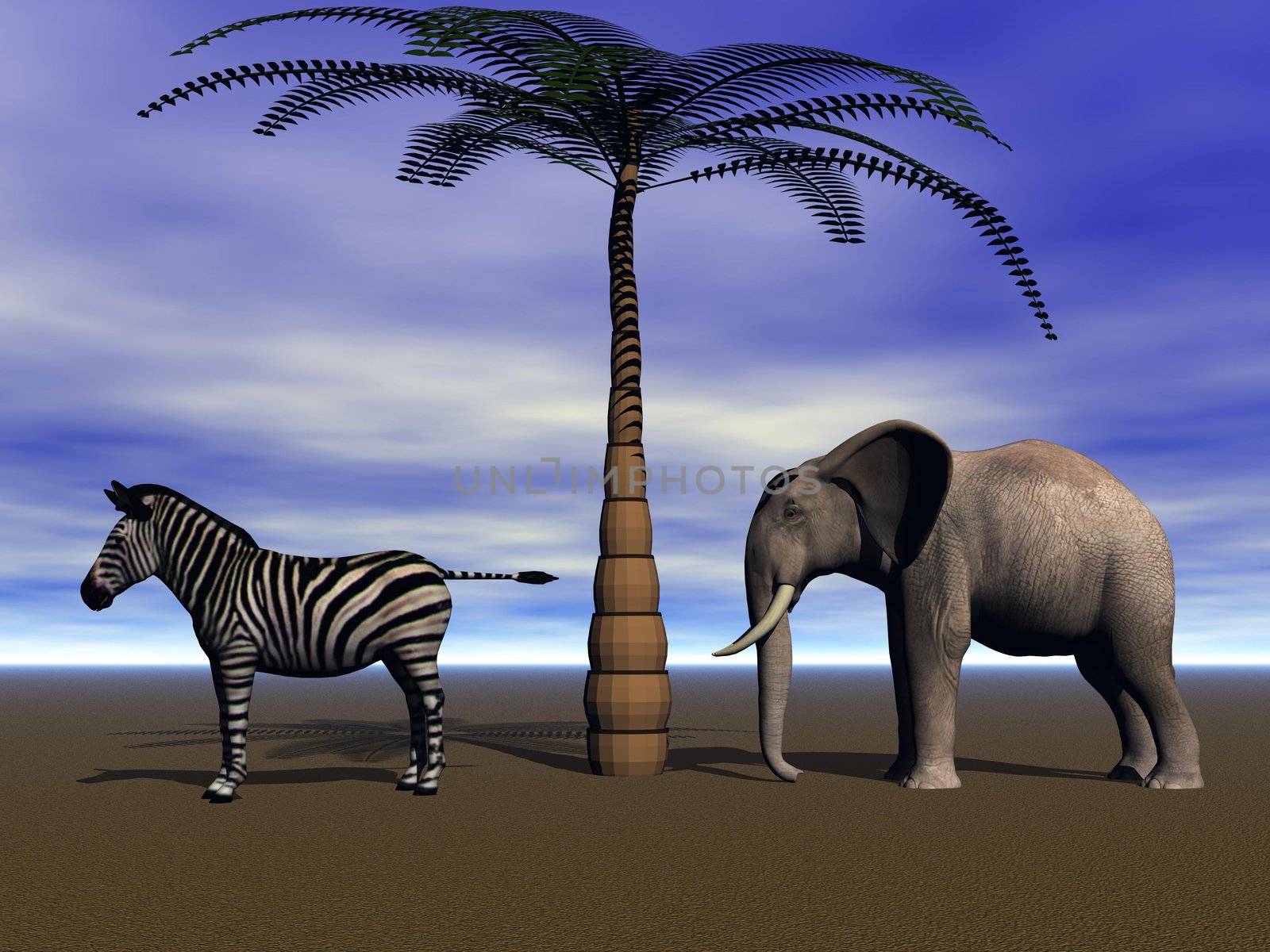 elephant and zebra and palm