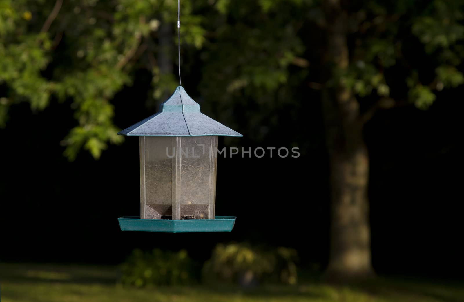 dirty bird feeder against a wooden area background
