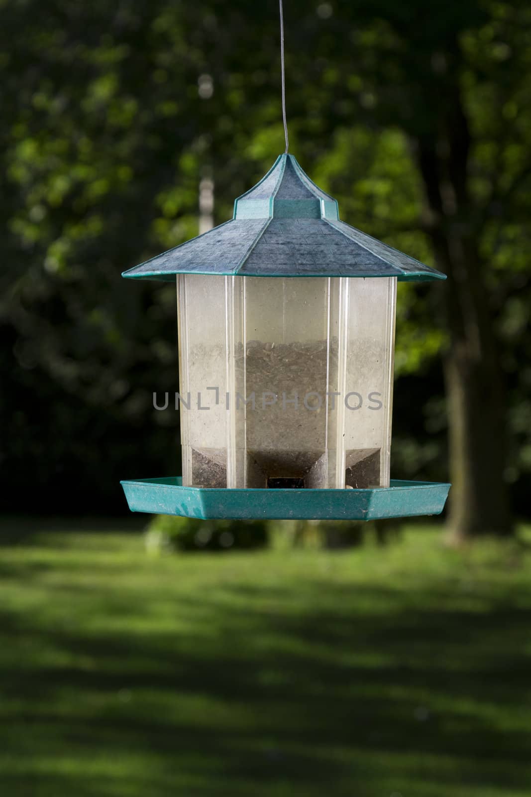 dirty plastic bird feeder against a wooden area background