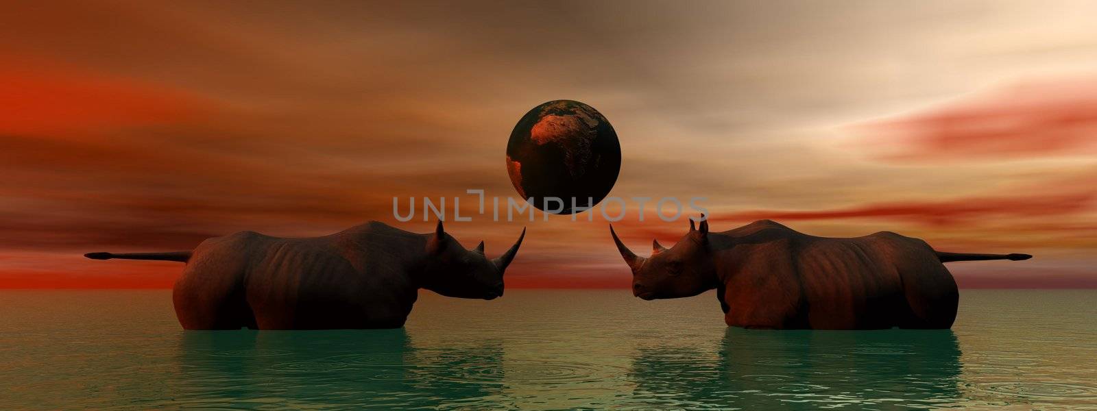 rhinoceros and sky red