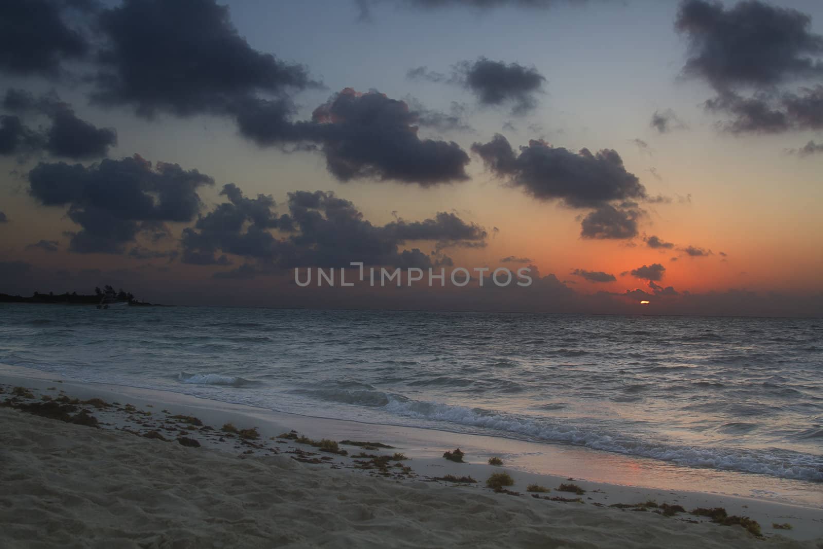 Sun rising over a beach
