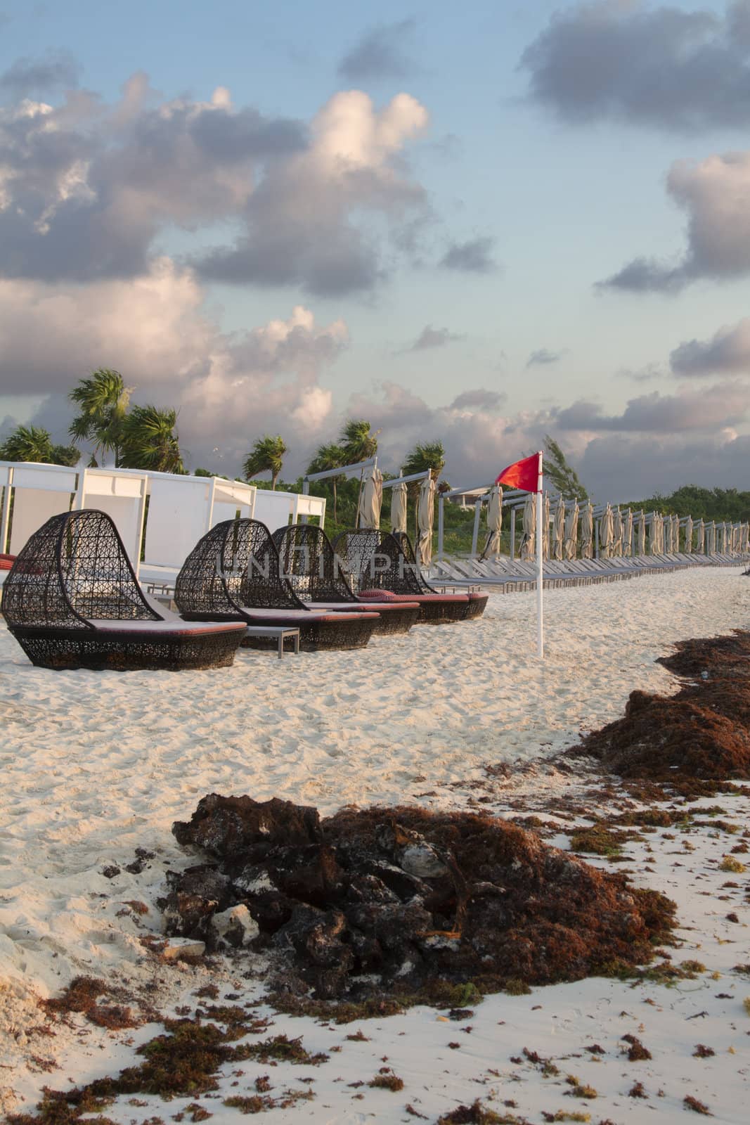 resort beach with mount of red algea