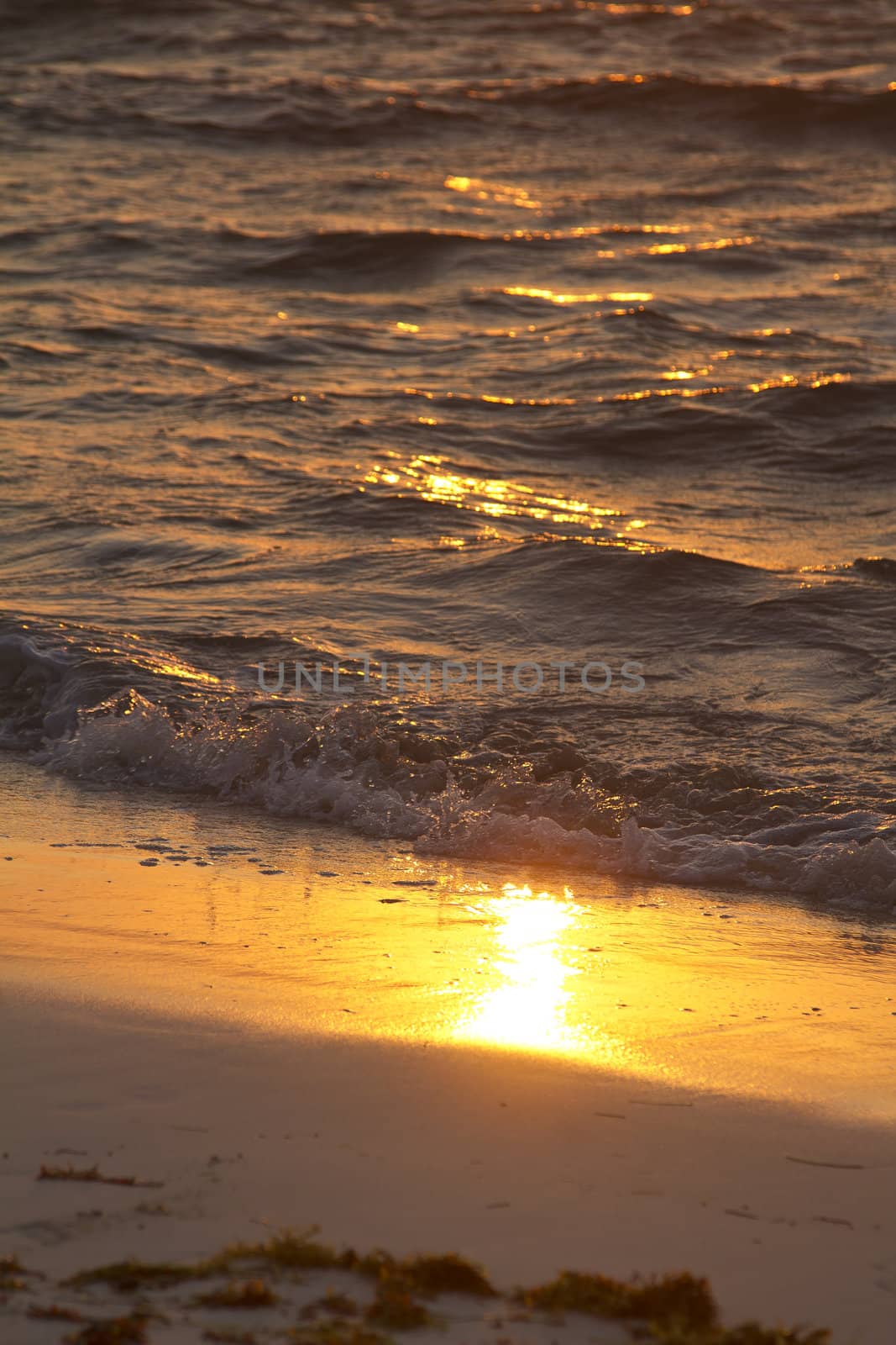 Sunrise reflecting on wet sand being pounded by waves
