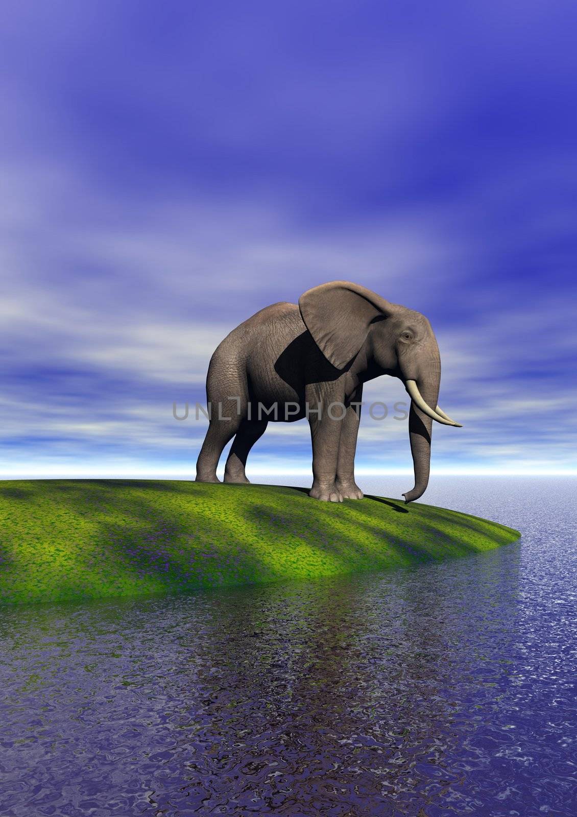 elephant and lake