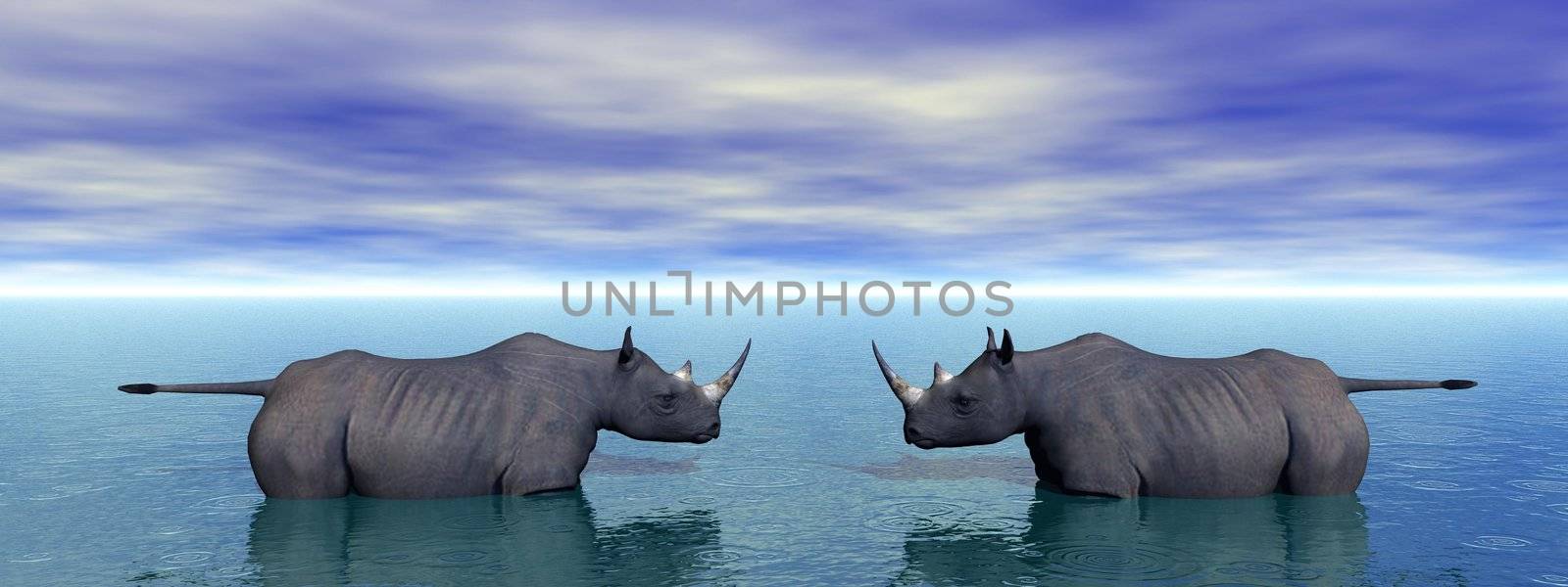 rhinoceros and sky blue