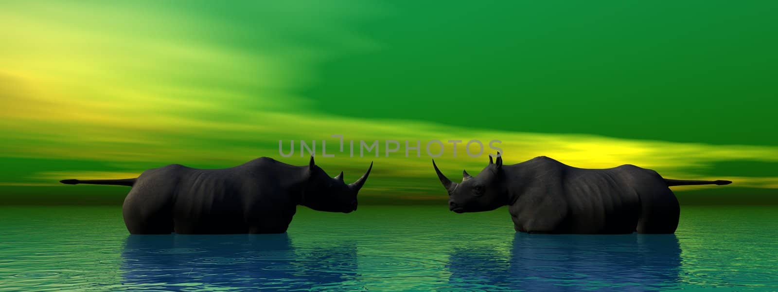 rhinoceros by mariephotos