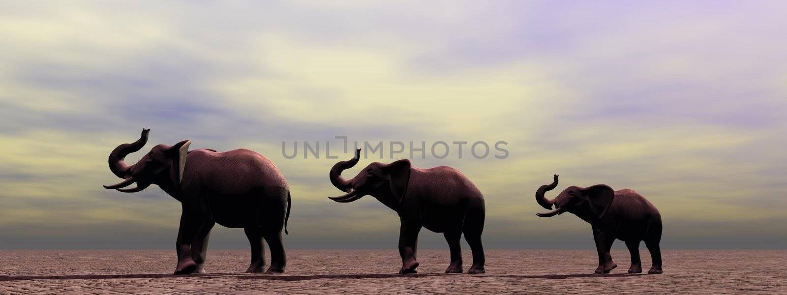 elephants by mariephotos