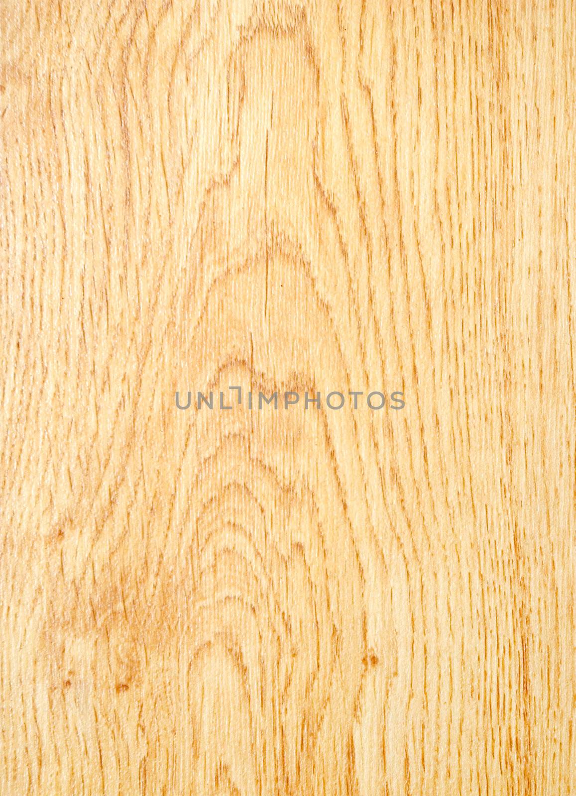 Texture of  wood to serve as background