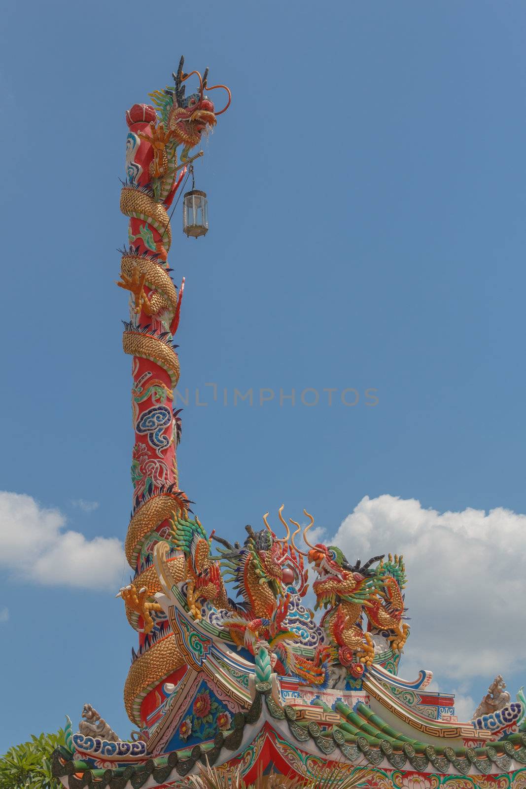 Symbolic of Chinese shrine is golden dragon. In general, two golden dragon are on the rooftop and another is on the top of the red pole with the sacred lantern. The photo is taken at chinese shrine in Bangkok, Thailand.